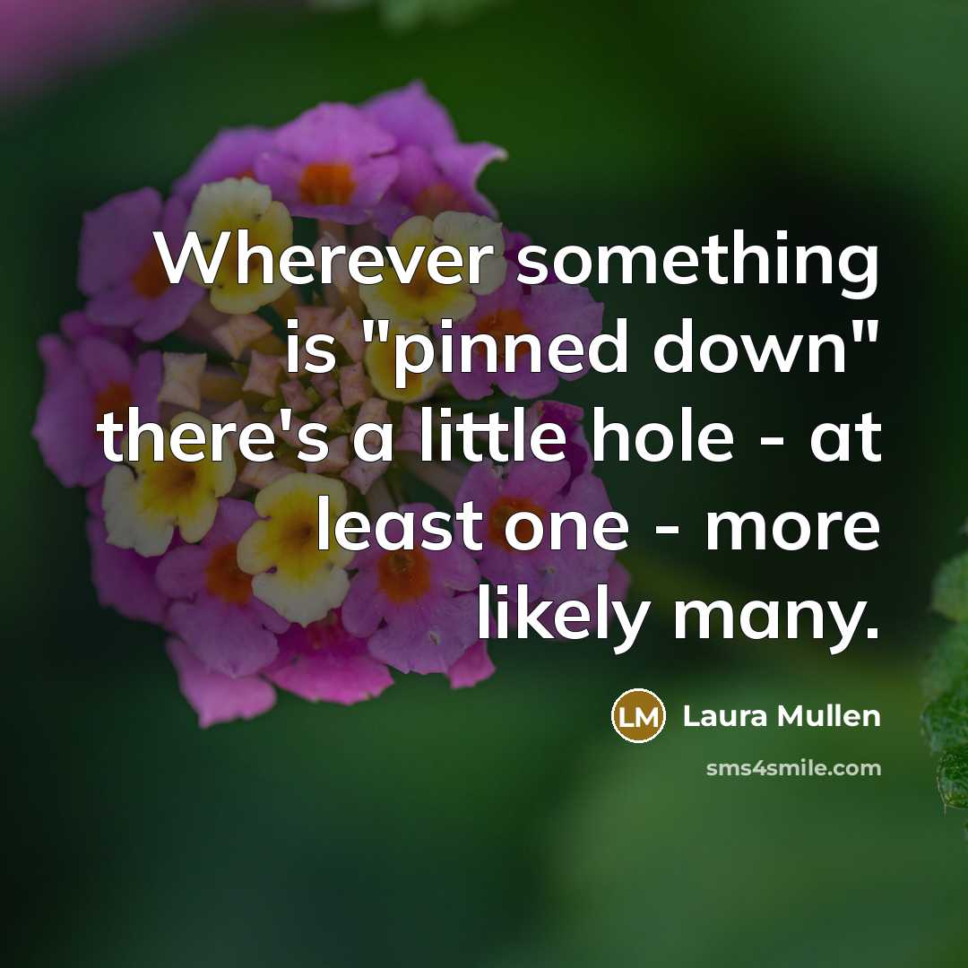 “Wherever something is "pinned down" there's a little hole - at least one - more likely many.” quote by Laura Mullen