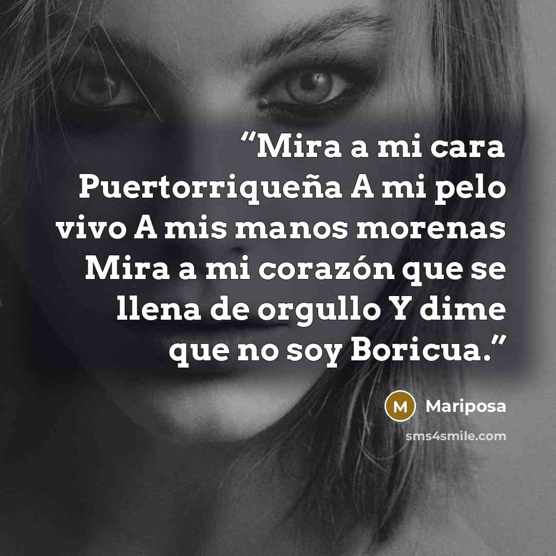 “Mira a mi cara Puertorriqueña A mi pelo vivo A mis manos morenas Mira a mi corazón que se llena de orgullo Y dime que no soy Boricua.” quote by Mariposa
