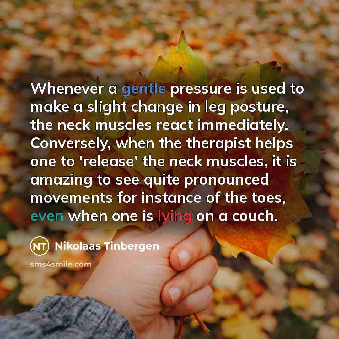 “Whenever a gentle pressure is used to make a slight…” quote by Nikolaas Tinbergen