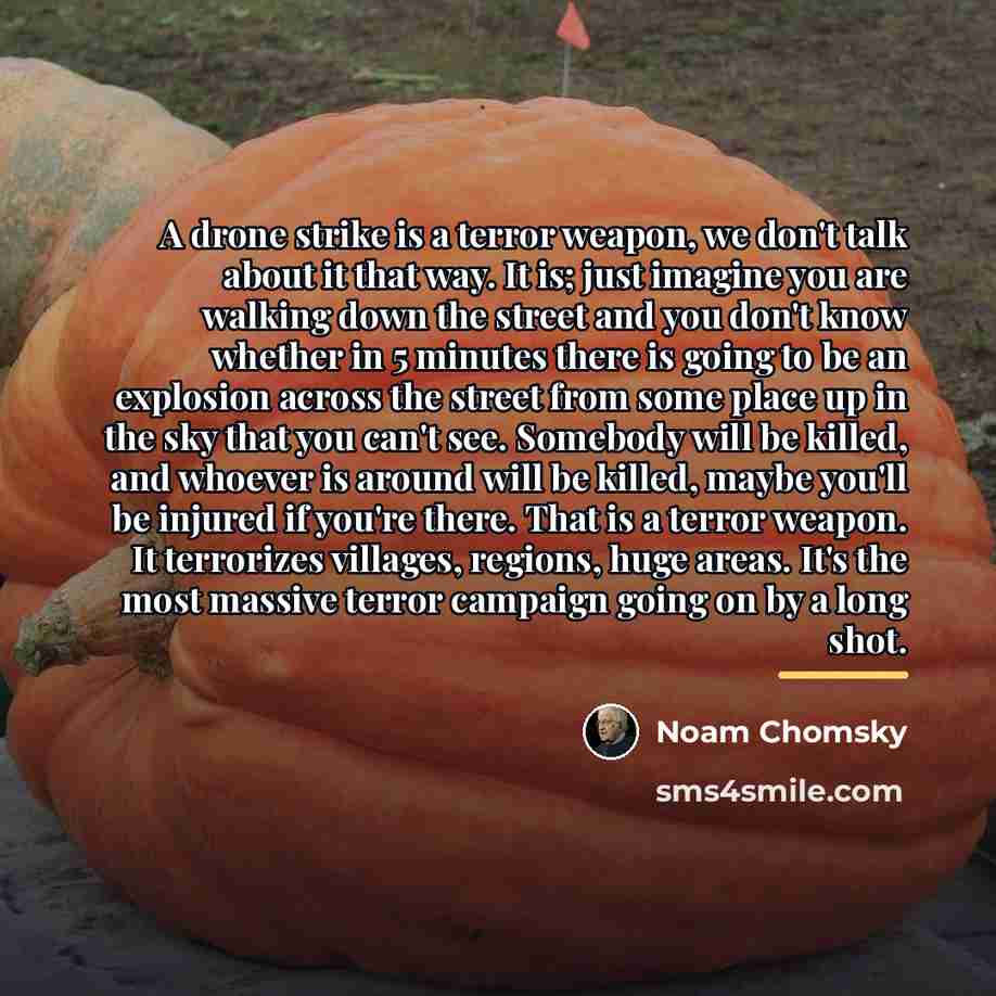 “A drone strike is a terror weapon, we don't talk…” quote by Noam Chomsky