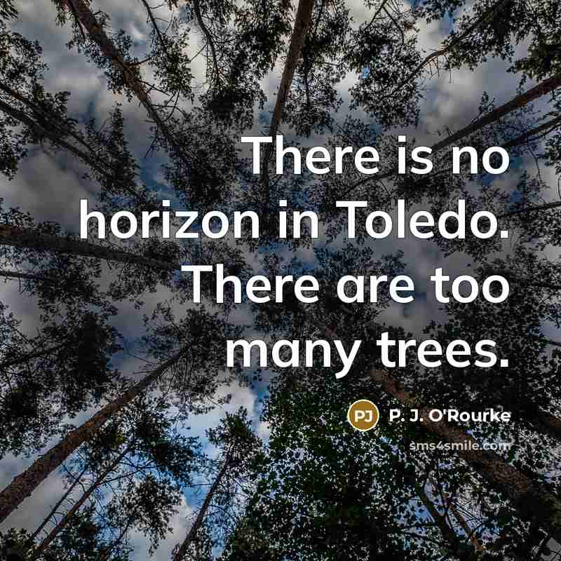 “There is no horizon in Toledo. There are too many…” quote by P. J. O'Rourke