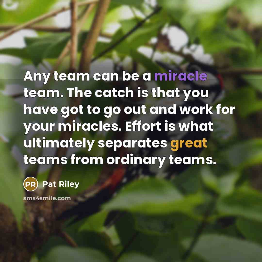 “Any team can be a miracle team. The catch is…” quote by Pat Riley