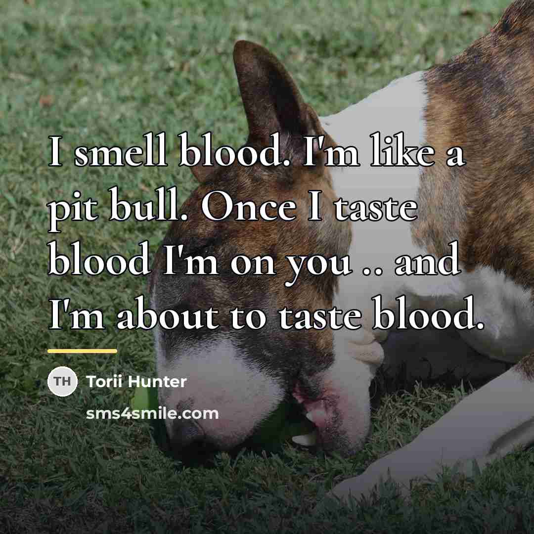 “I smell blood. I'm like a pit bull. Once I…” quote by Torii Hunter