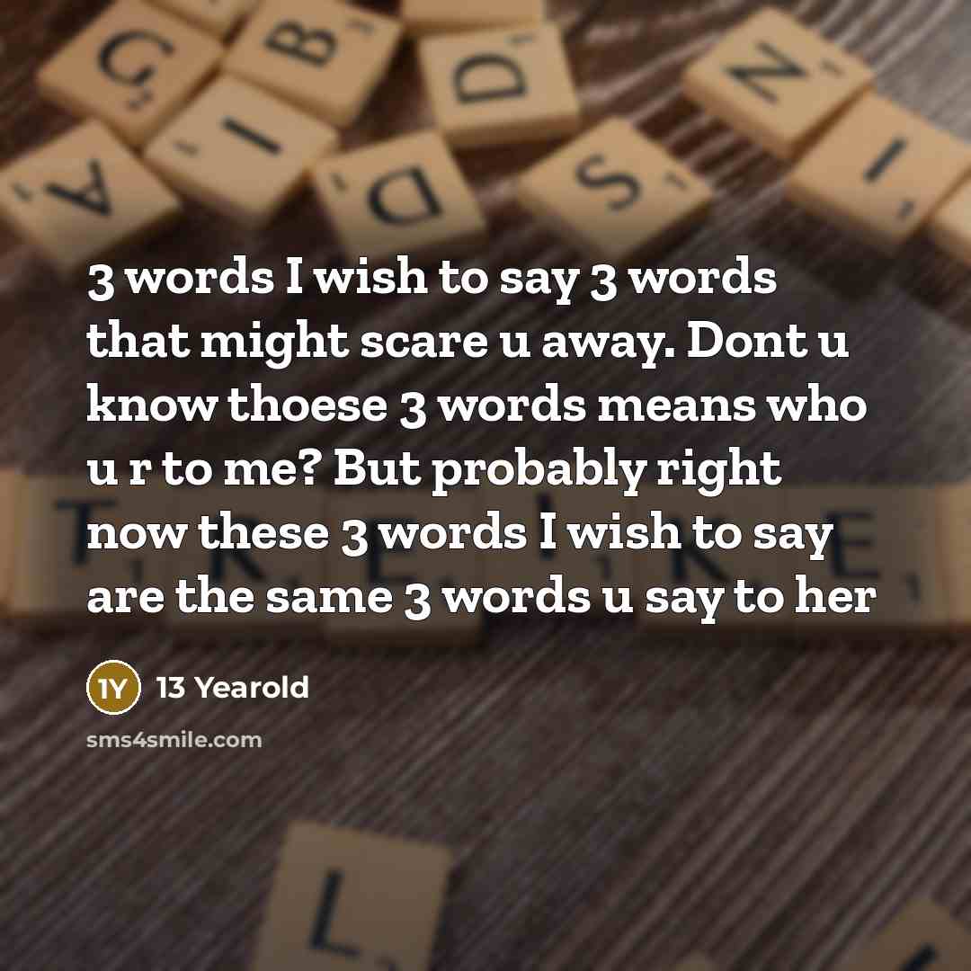 “3 words I wish to say 3 words that might…” quote by 13 Yearold