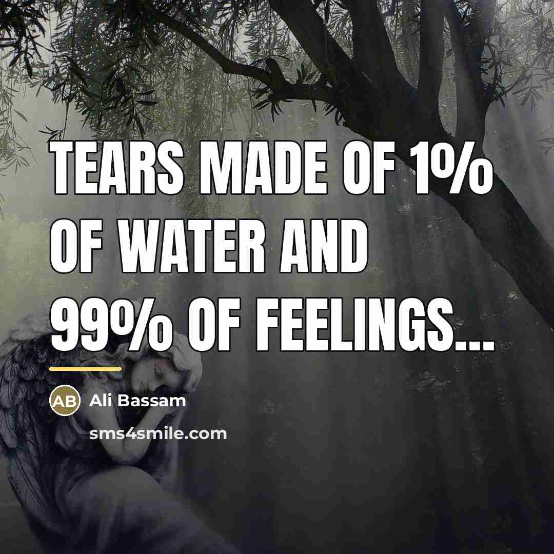 “TEARS made of 1% of water and 99% of feelings...…” quote by Ali Bassam
