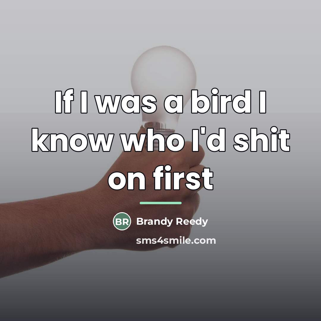 “If I was a bird I know who I'd shit…” quote by Brandy Reedy