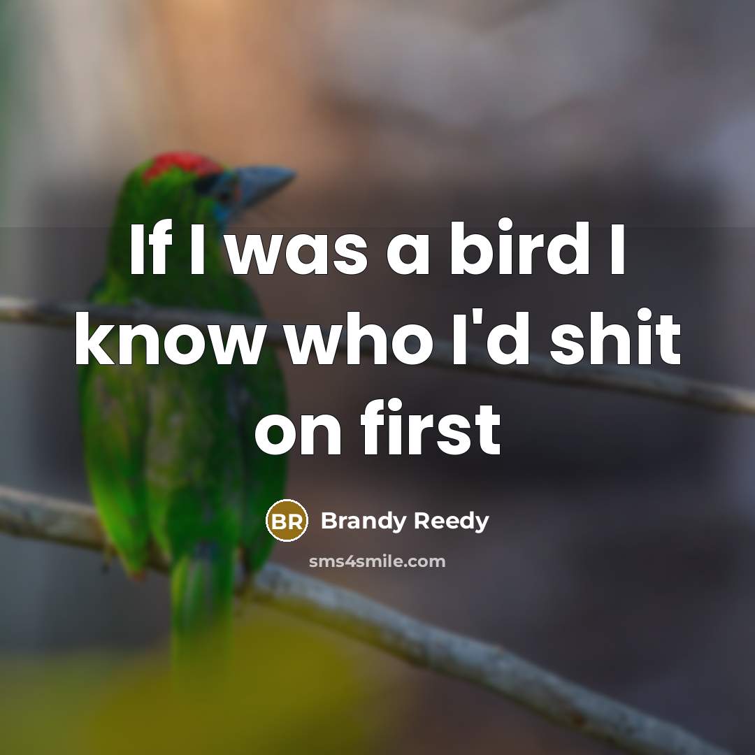 “If I was a bird I know who I'd shit on first” quote by Brandy Reedy