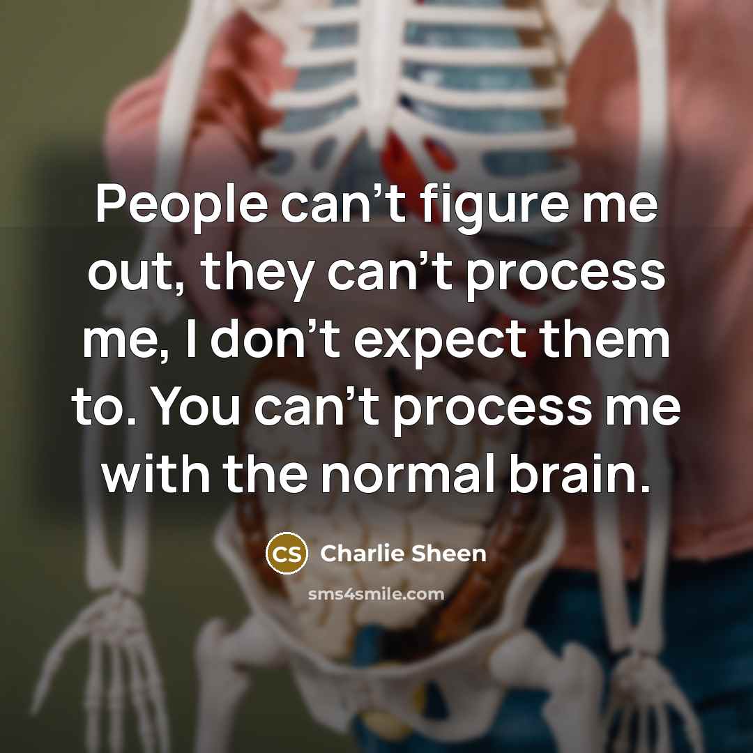 “People can't figure me out, they can't process me, I…” quote by Charlie Sheen
