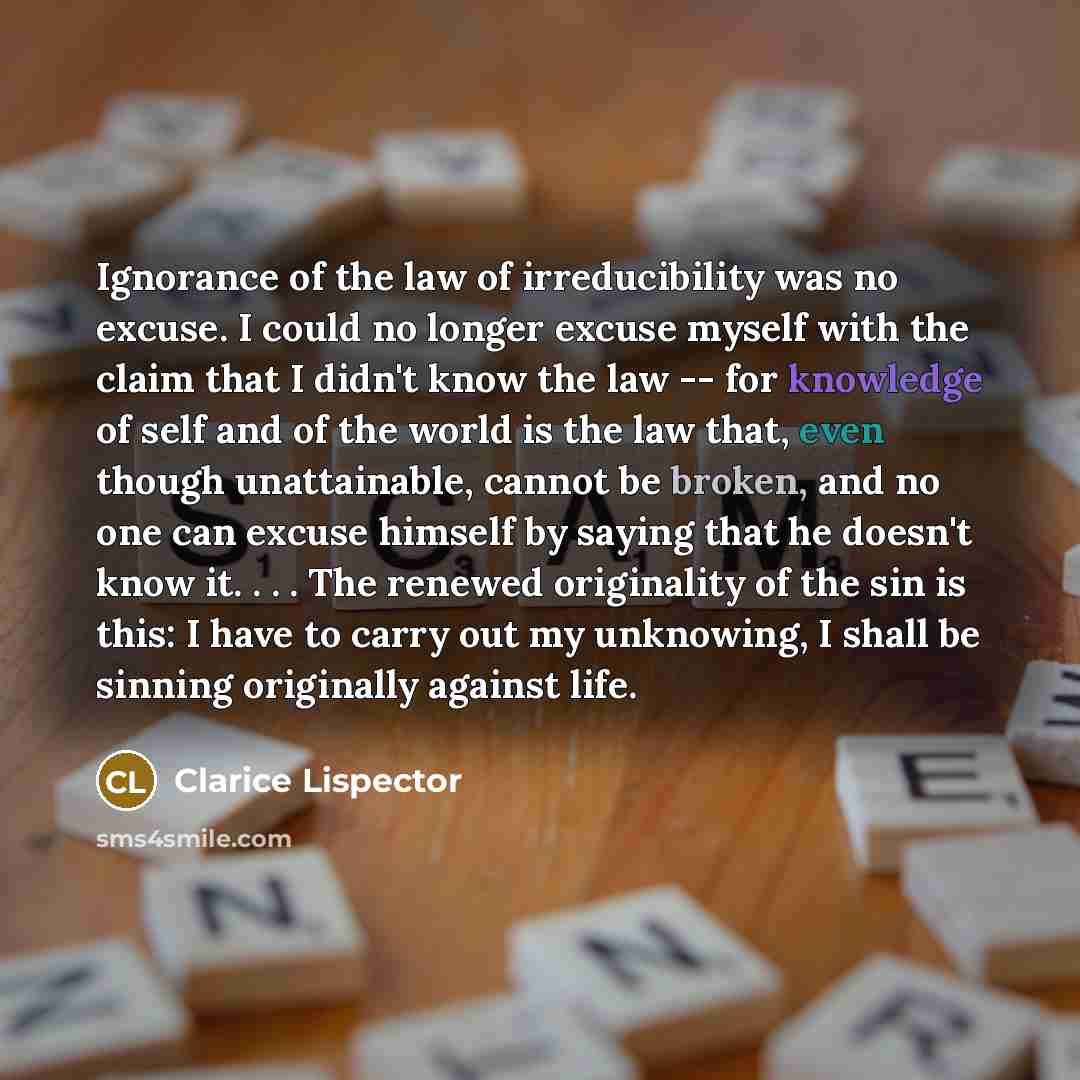 “Ignorance of the law of irreducibility was no excuse. I…” quote by Clarice Lispector
