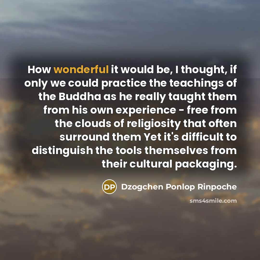 “How wonderful it would be, I thought, if only we…” quote by Dzogchen Ponlop Rinpoche