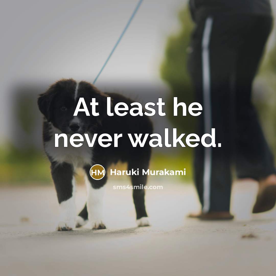 “At least he never walked.” quote by Haruki Murakami