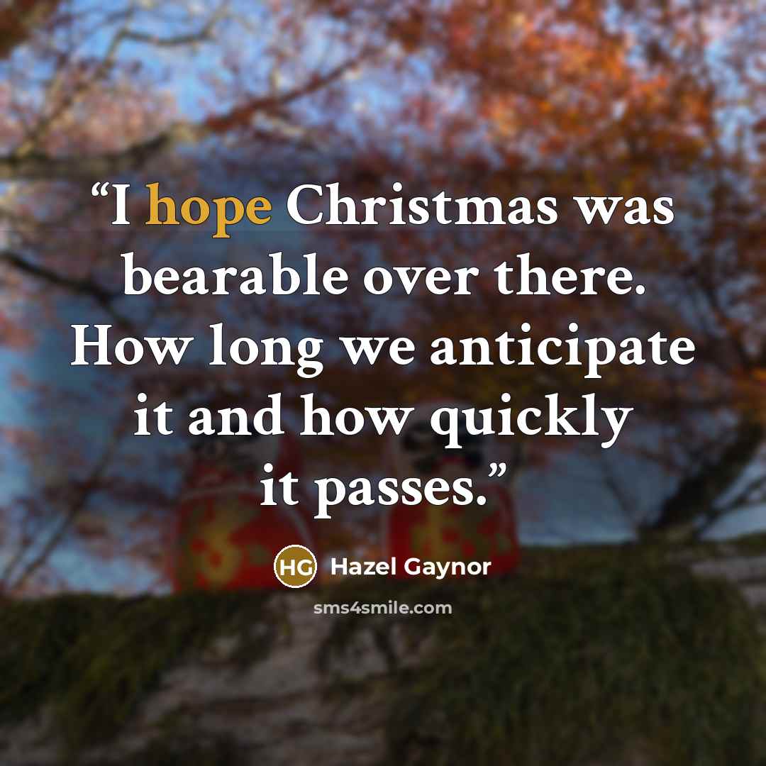 “I hope Christmas was bearable over there. How long we anticipate it and how quickly it passes.” quote by Hazel Gaynor