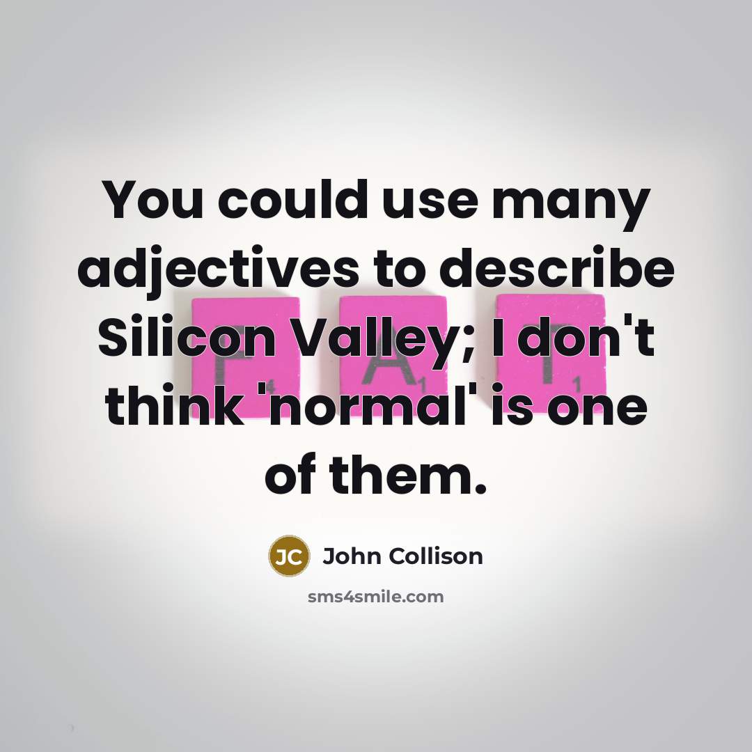 “You could use many adjectives to describe Silicon Valley; I…” quote by John Collison