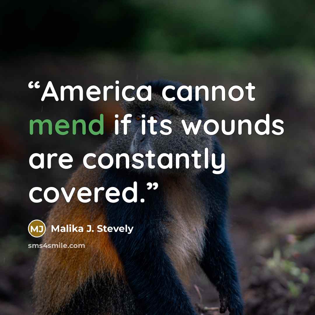 “America cannot mend if its wounds are constantly covered.” quote by Malika J. Stevely