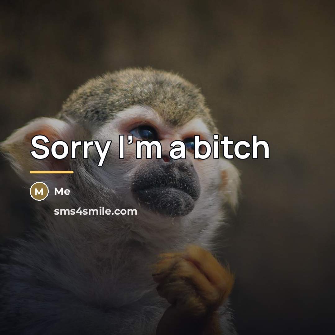 “Sorry I'm a bitch…” quote by Me