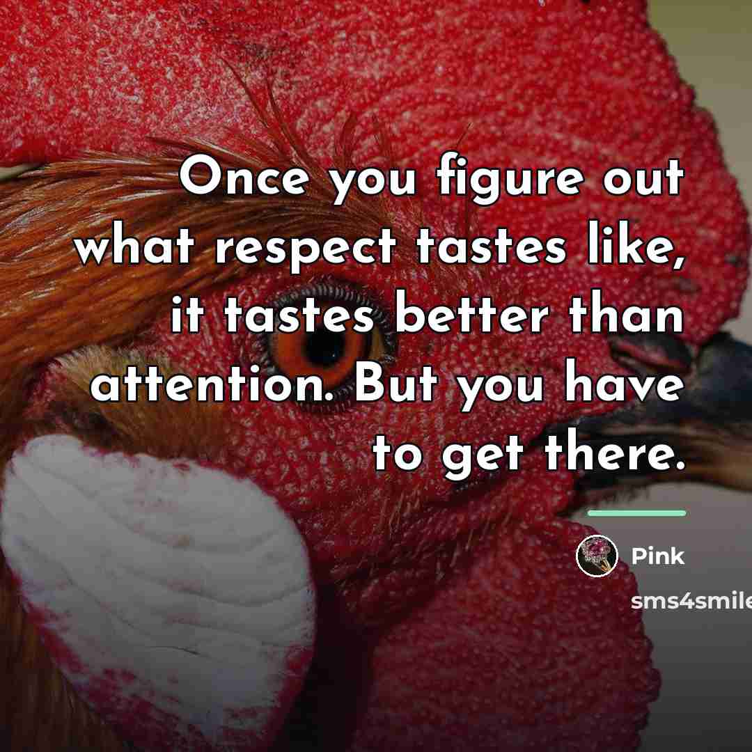 “Once you figure out what respect tastes like, it tastes…” quote by Pink