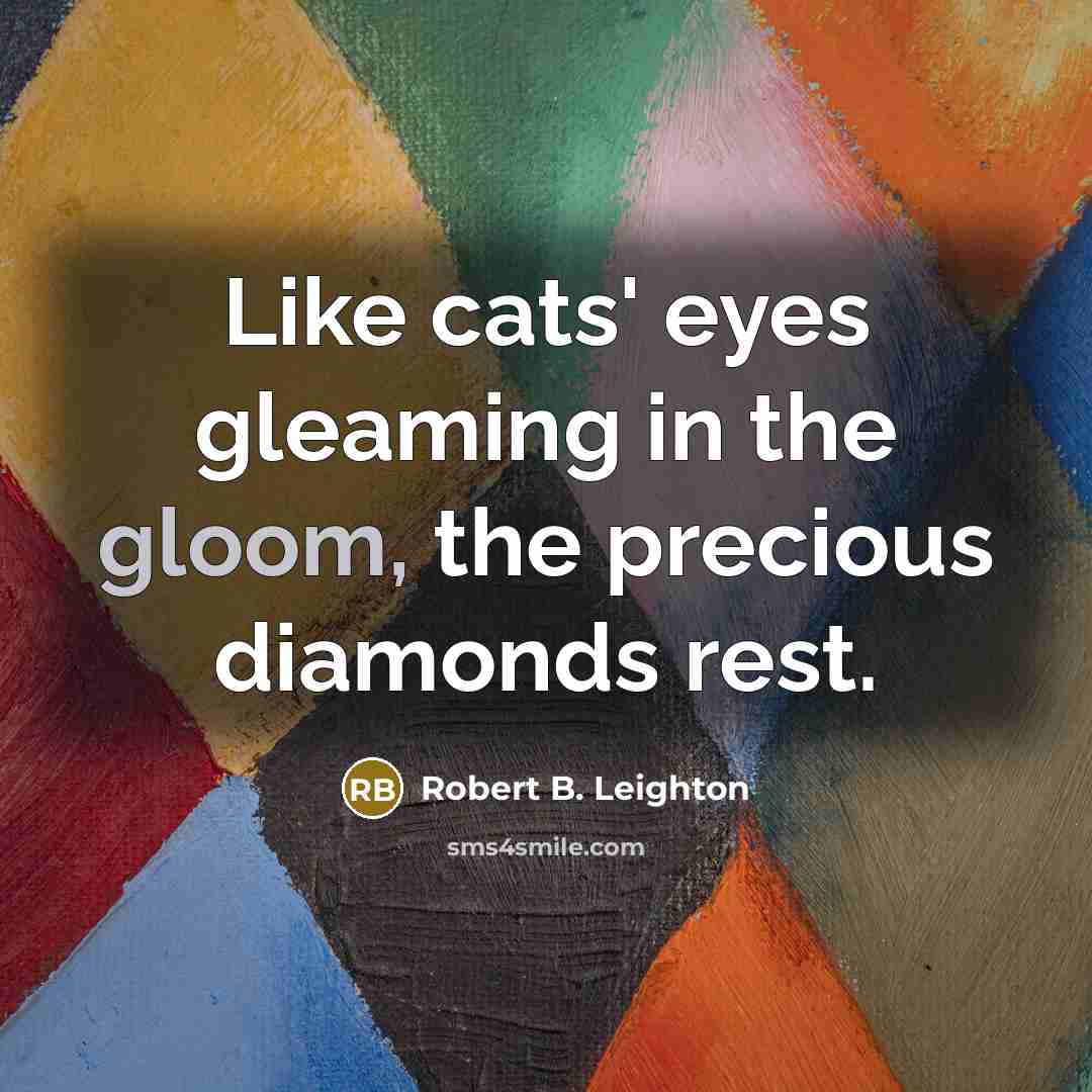 “Like cats' eyes gleaming in the gloom, the precious diamonds…” quote by Robert B. Leighton