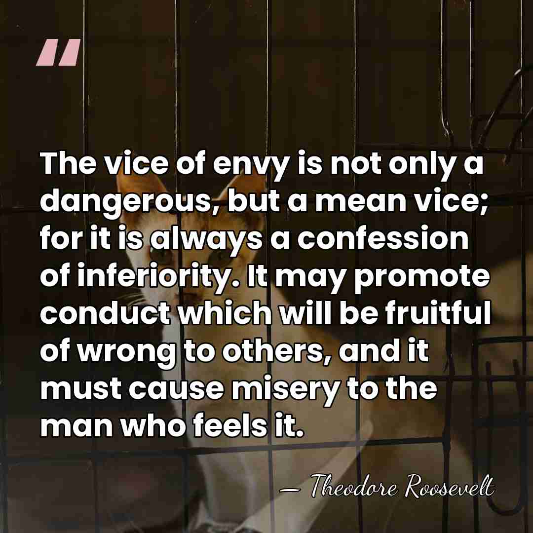 The vice of envy is not only a dangerous, but a mean&hellip; - Theodore Roosevelt