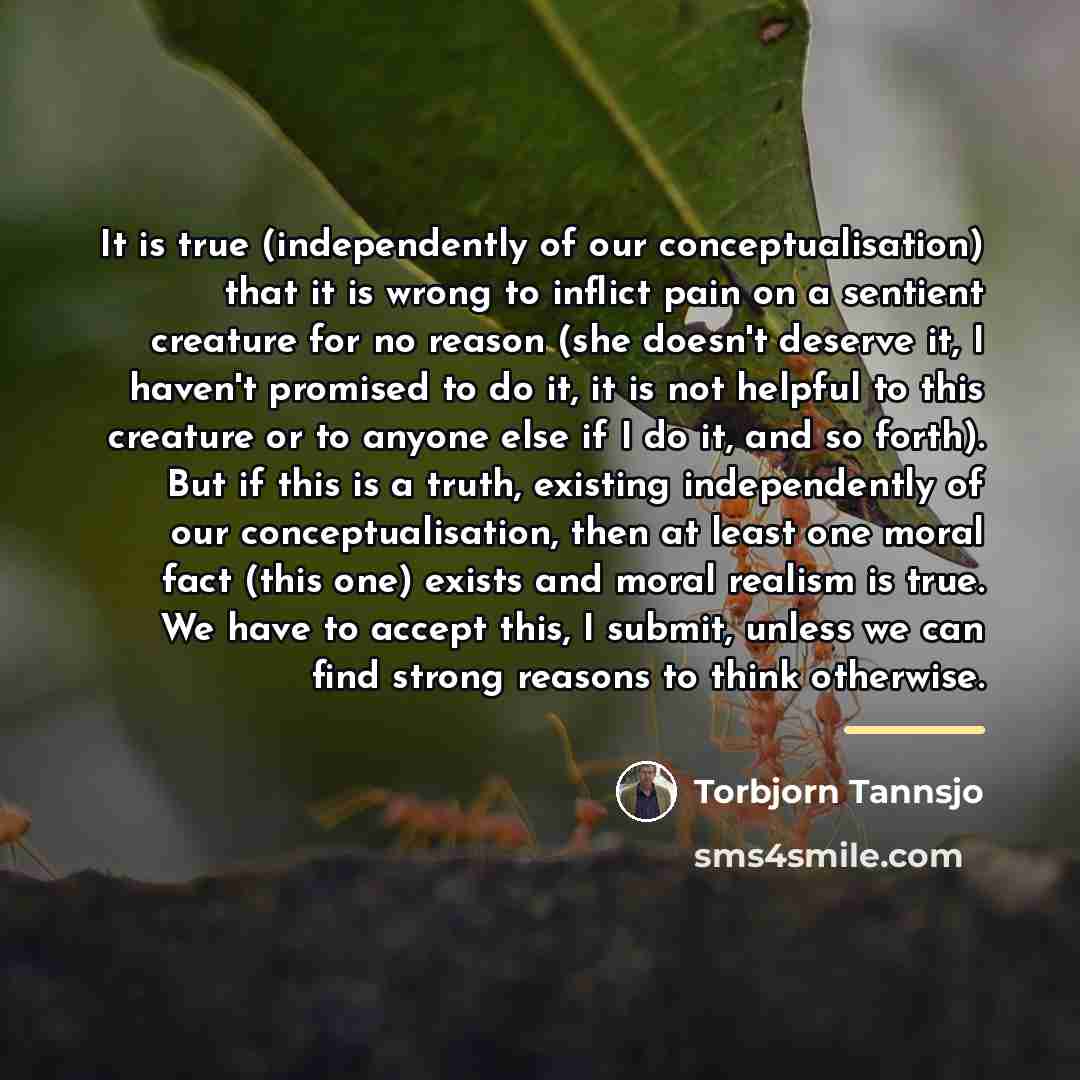 “It is true (independently of our conceptualisation) that it is…” quote by Torbjorn Tannsjo