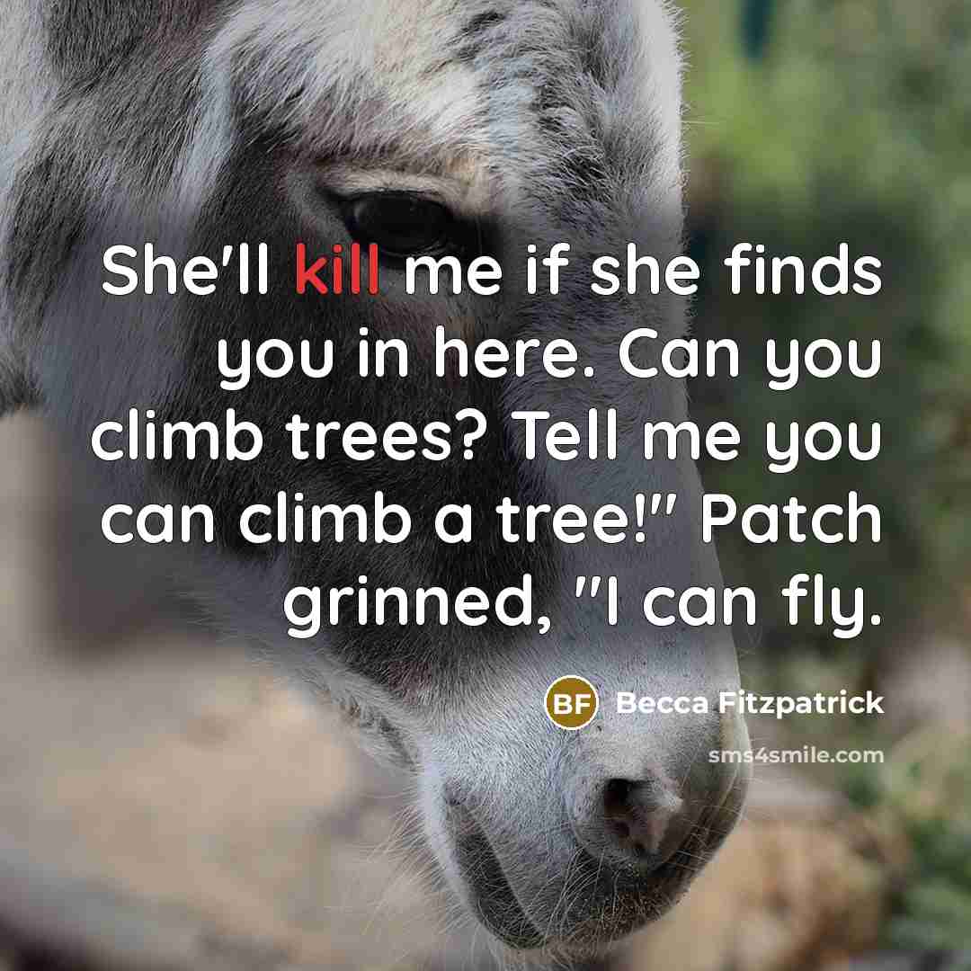 “She'll kill me if she finds you in here. Can…” quote by Becca Fitzpatrick