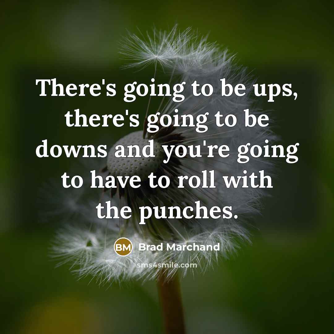 “There's going to be ups, there's going to be downs and you're going to have to roll with the punches.” quote by Brad Marchand
