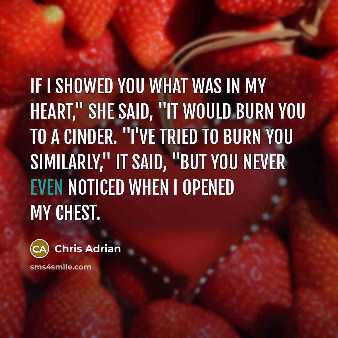 “If I showed you what was in my heart," she said, "it would burn you to a cinder. "I've tried to burn you similarly," it said, "but you never even noticed when I opened my chest.” quote by Chris Adrian