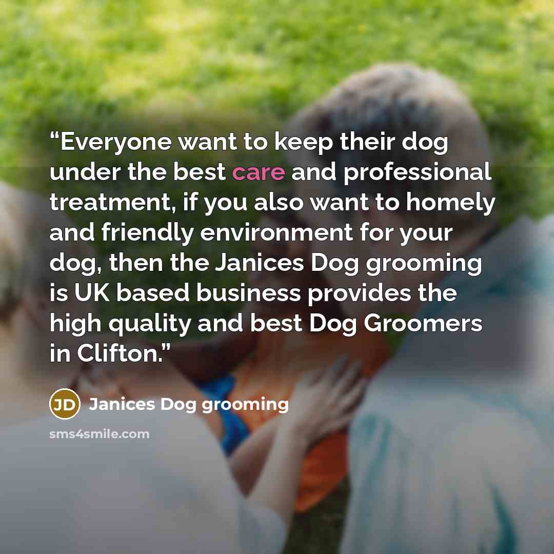 “Everyone want to keep their dog under the best care and professional treatment, if you also want to homely and friendly environment for your dog, then the Janices Dog grooming is UK based business provides the high quality and best Dog Groomers in Clifton.” quote by Janices Dog grooming
