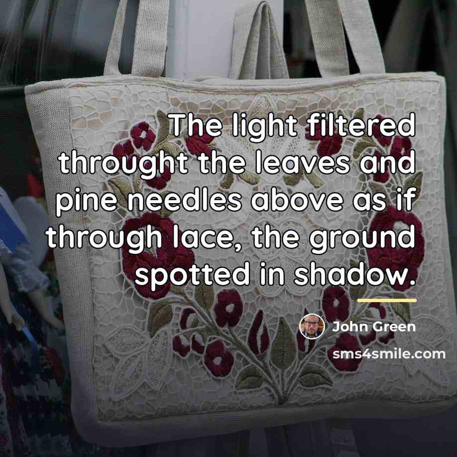 “The light filtered throught the leaves and pine needles above…” quote by John Green