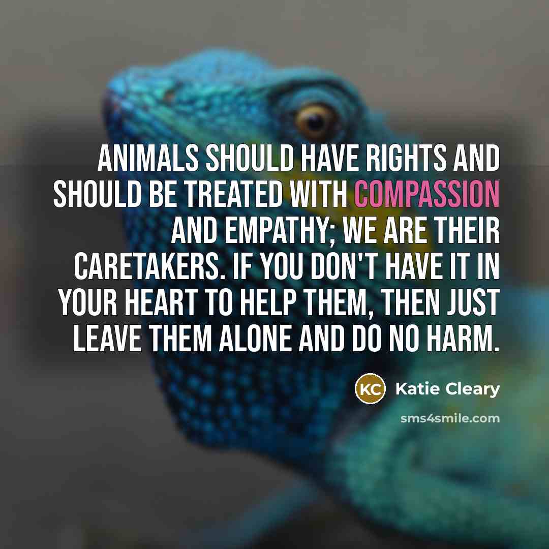 “Animals should have rights and should be treated with compassion…” quote by Katie Cleary
