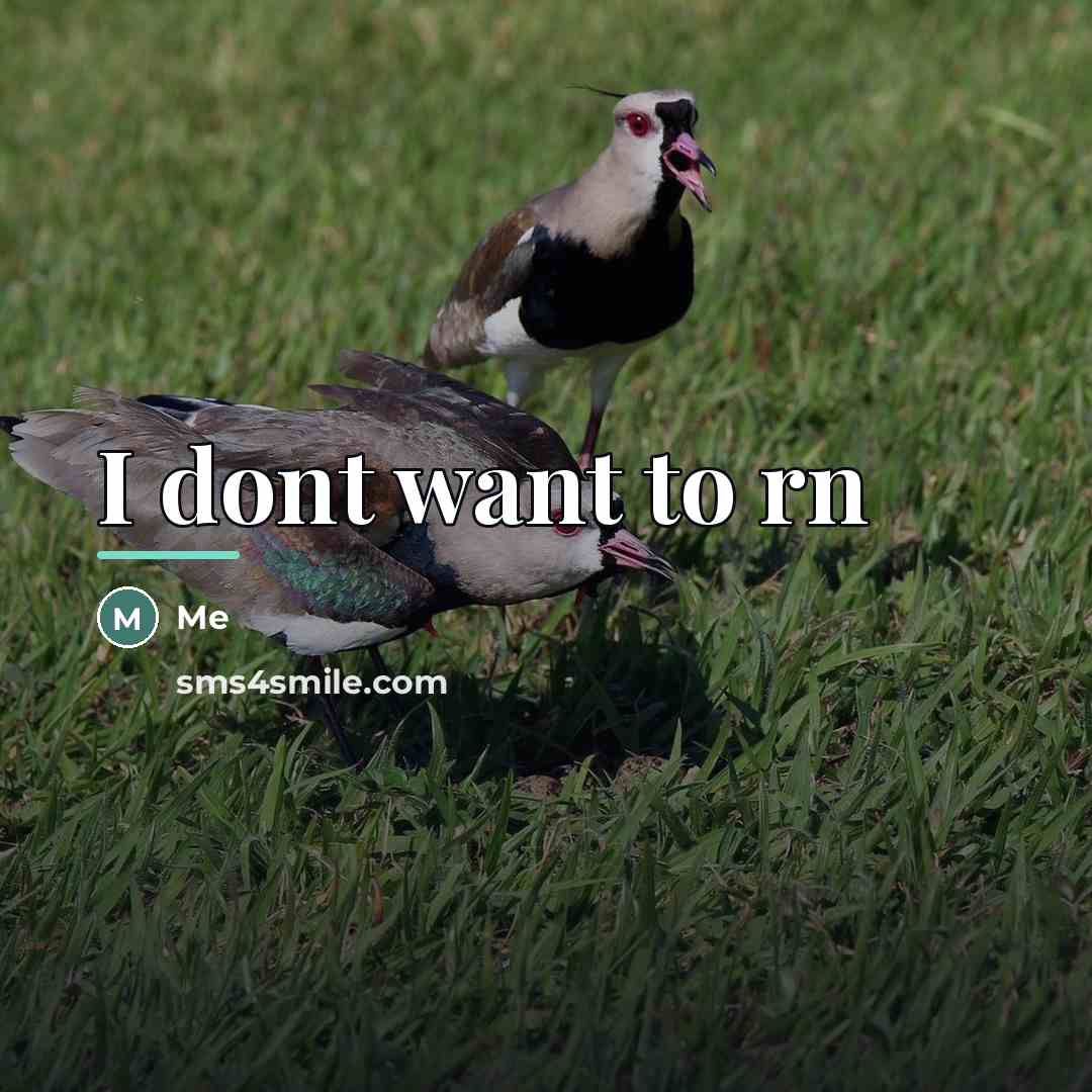 “I dont want to rn…” quote by Me