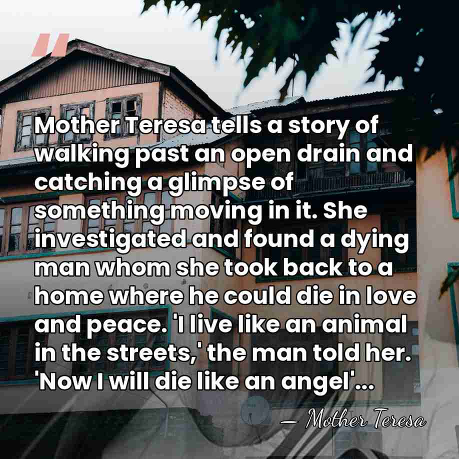 Mother Teresa tells a story of walking past an open drain and&hellip; - Mother Teresa