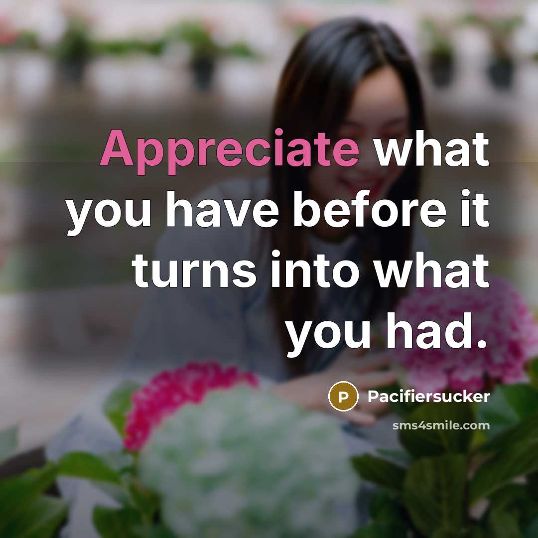 “Appreciate what you have before it turns into what you…” quote by Pacifiersucker