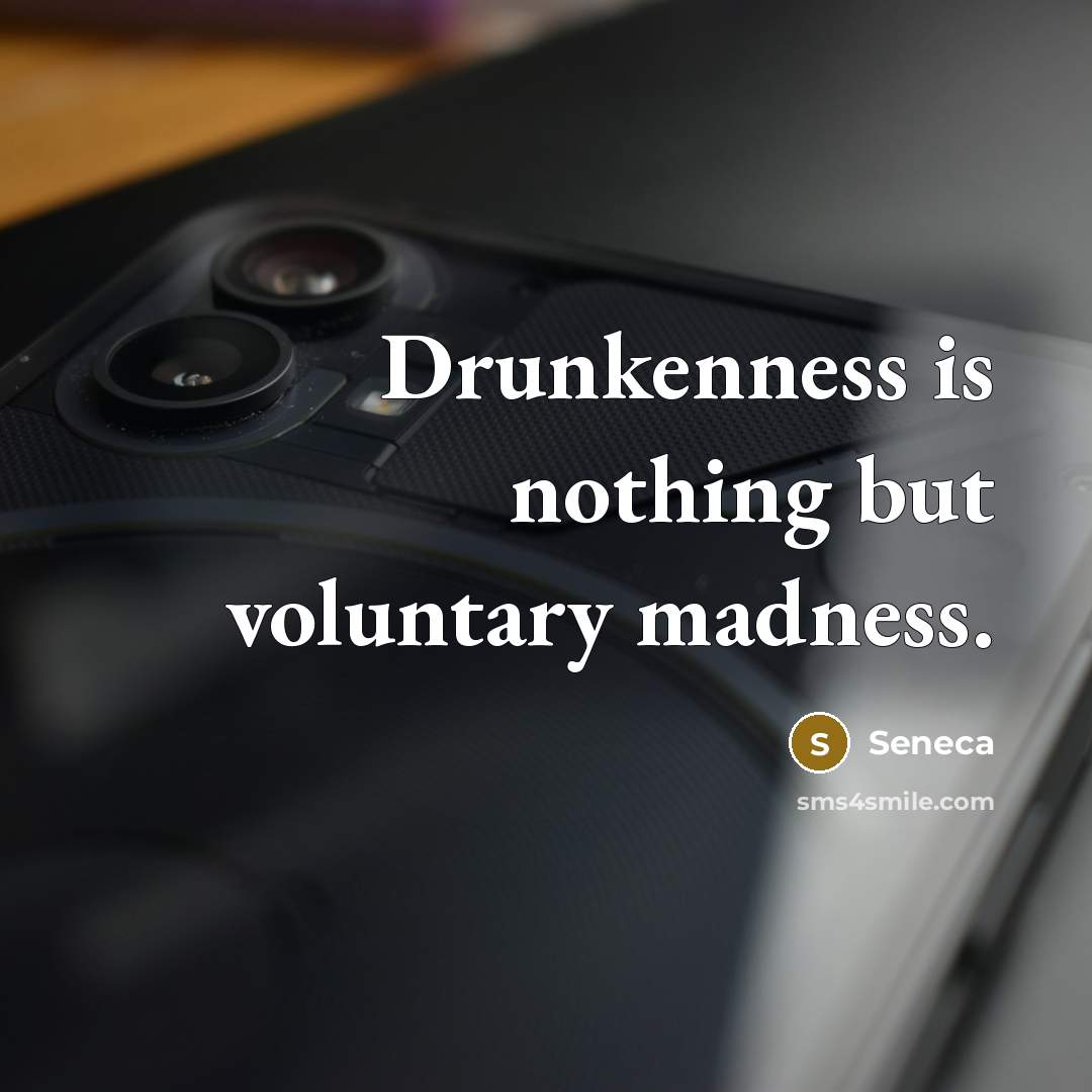 “Drunkenness is nothing but voluntary madness.…” quote by Seneca
