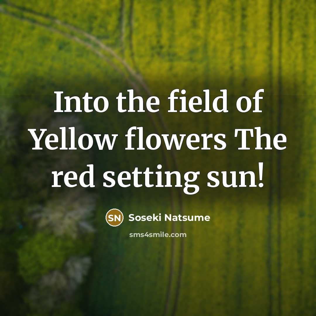 “Into the field of Yellow flowers The red setting sun!…” quote by Soseki Natsume