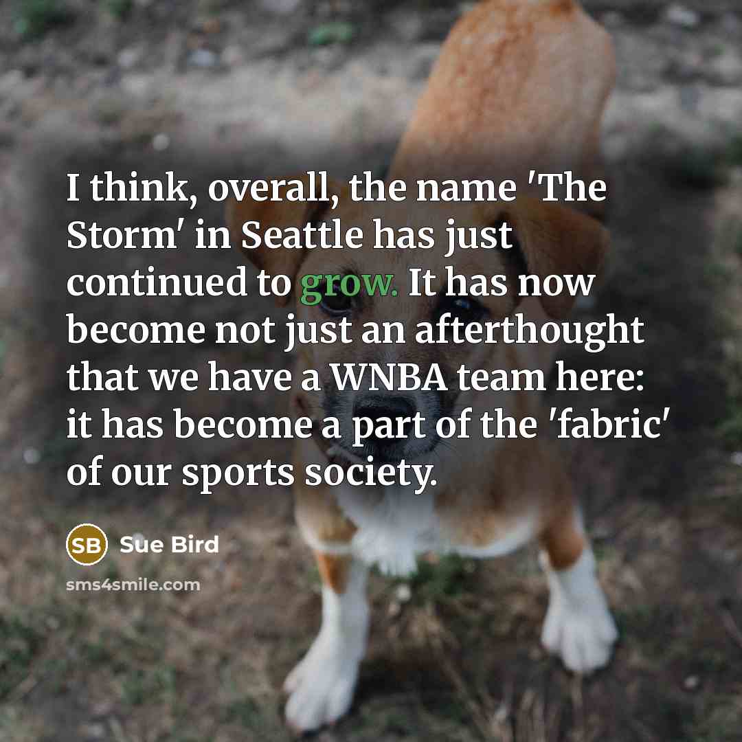 “I think, overall, the name 'The Storm' in Seattle has…” quote by Sue Bird