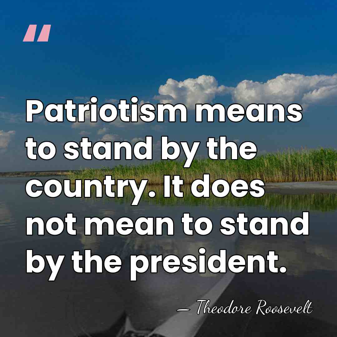 Patriotism means to stand by the country. It does not mean to&hellip; - Theodore Roosevelt