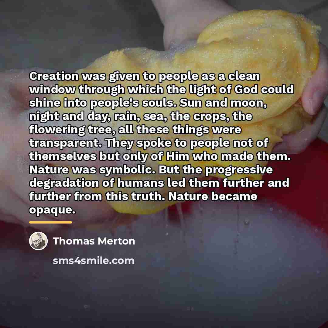 “Creation was given to people as a clean window through…” quote by Thomas Merton