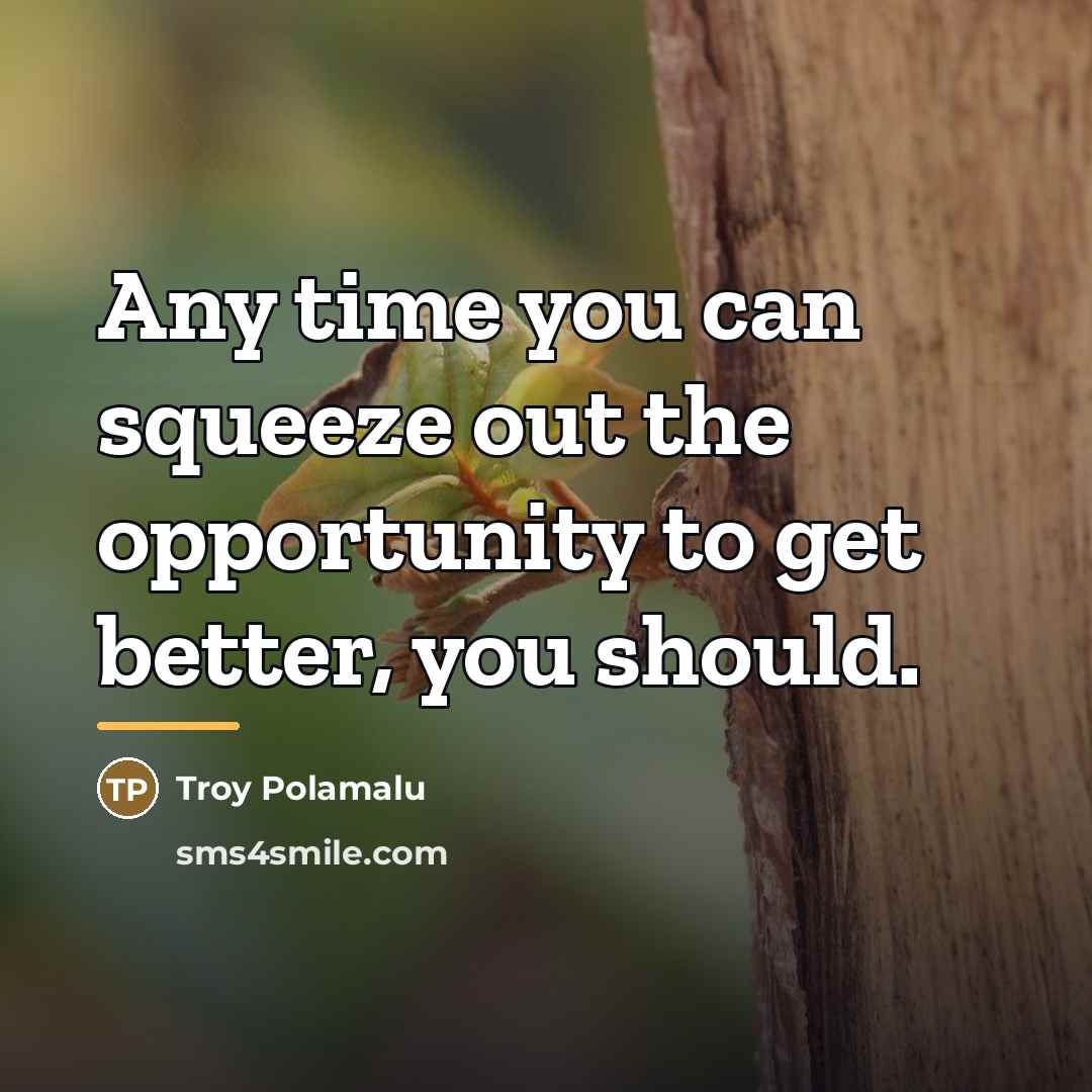 “Any time you can squeeze out the opportunity to get…” quote by Troy Polamalu