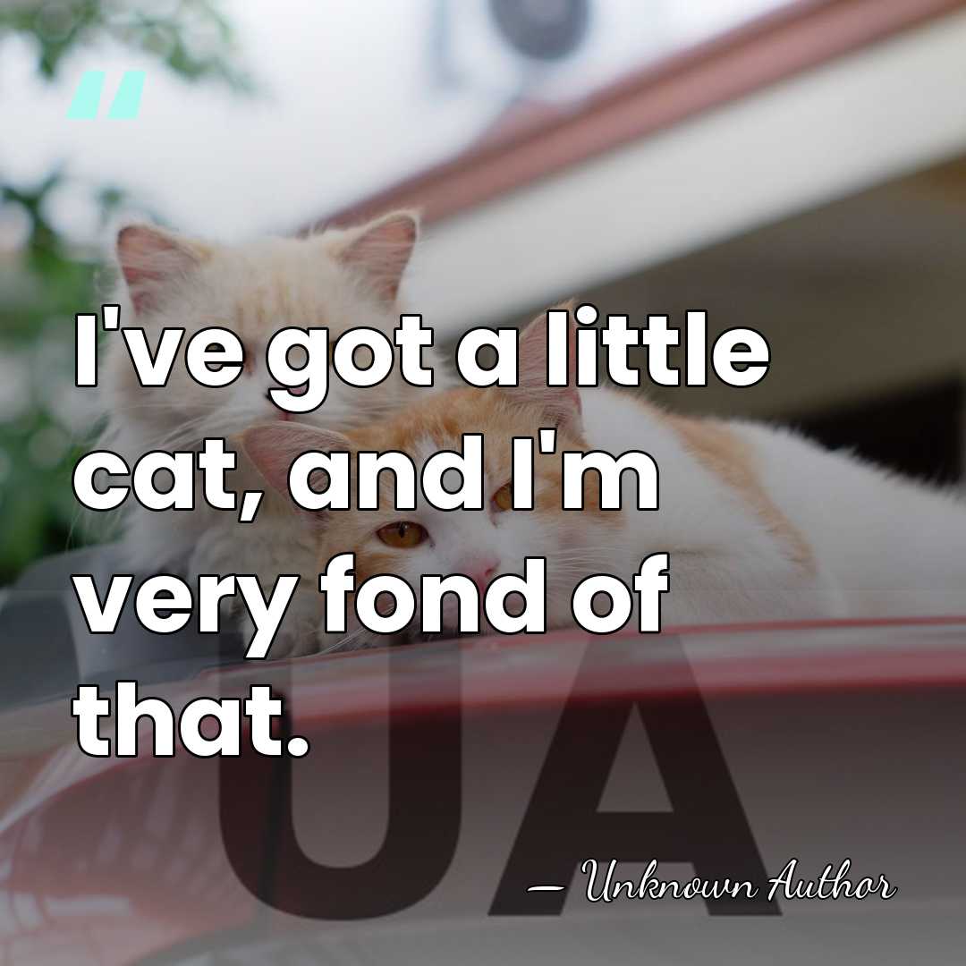 I've got a little cat, and I'm very fond of that. - Unknown Author