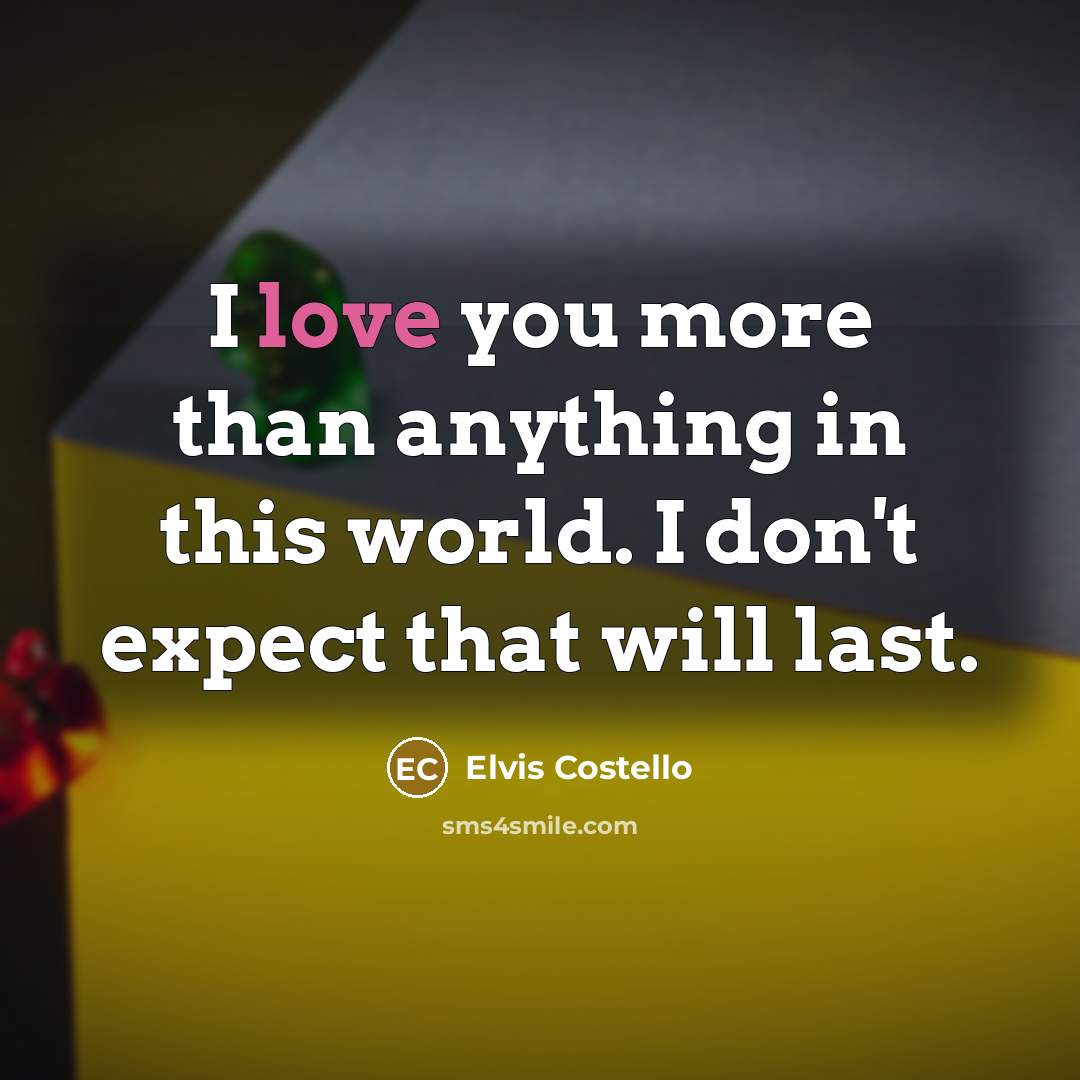 “I love you more than anything in this world. I don't expect that will last.” quote by Elvis Costello