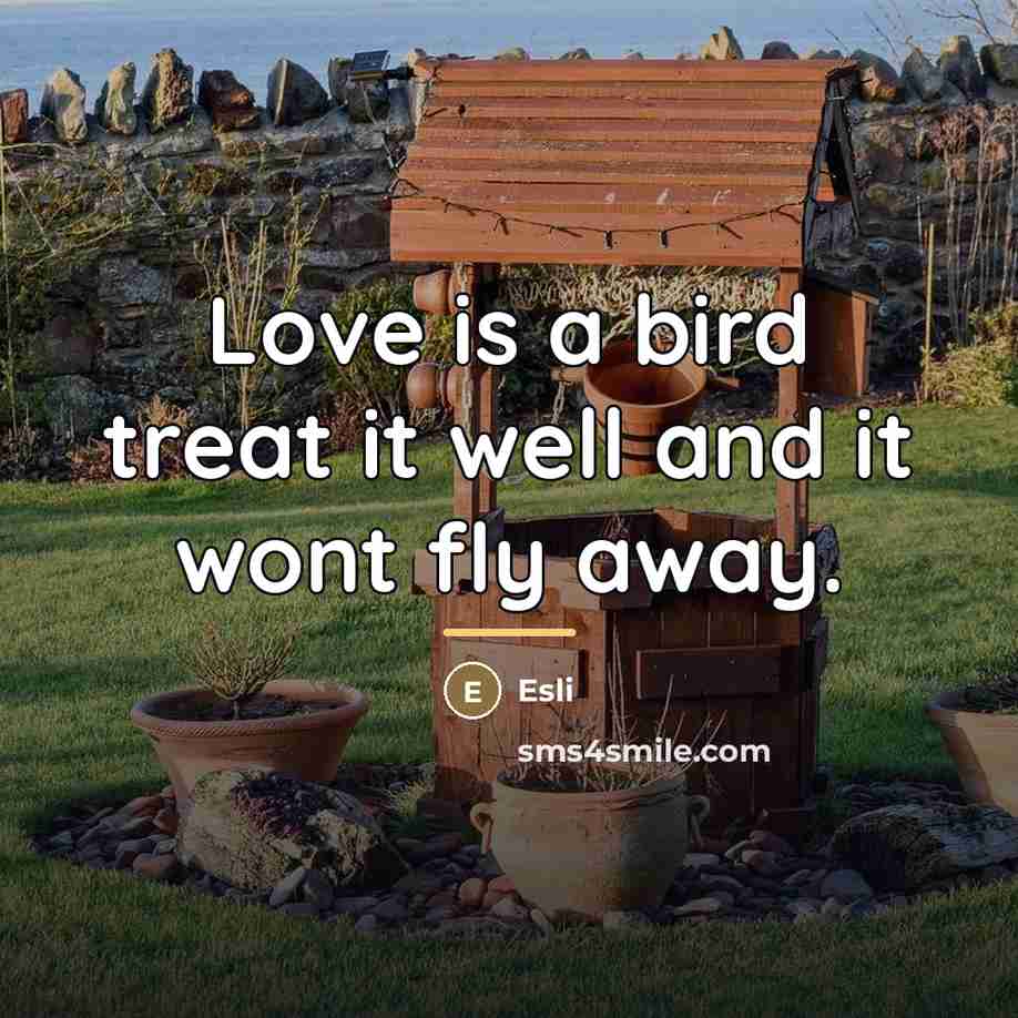 “Love is a bird treat it well and it wont…” quote by Esli