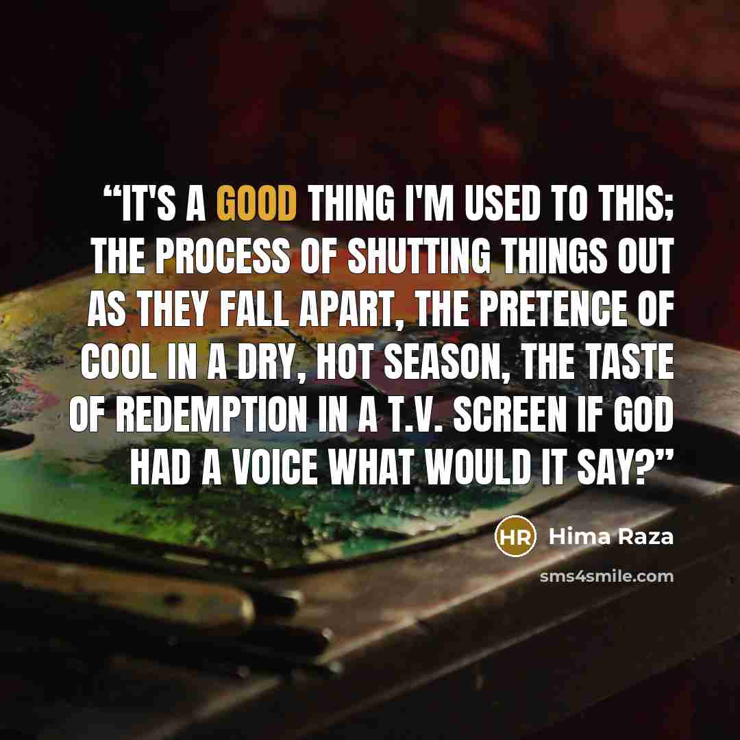 “it's a good thing I'm used to this; the process of shutting things out as they fall apart, the pretence of cool in a dry, hot season, the taste of redemption in a t.v. screen if God had a voice what would it say?” quote by Hima Raza