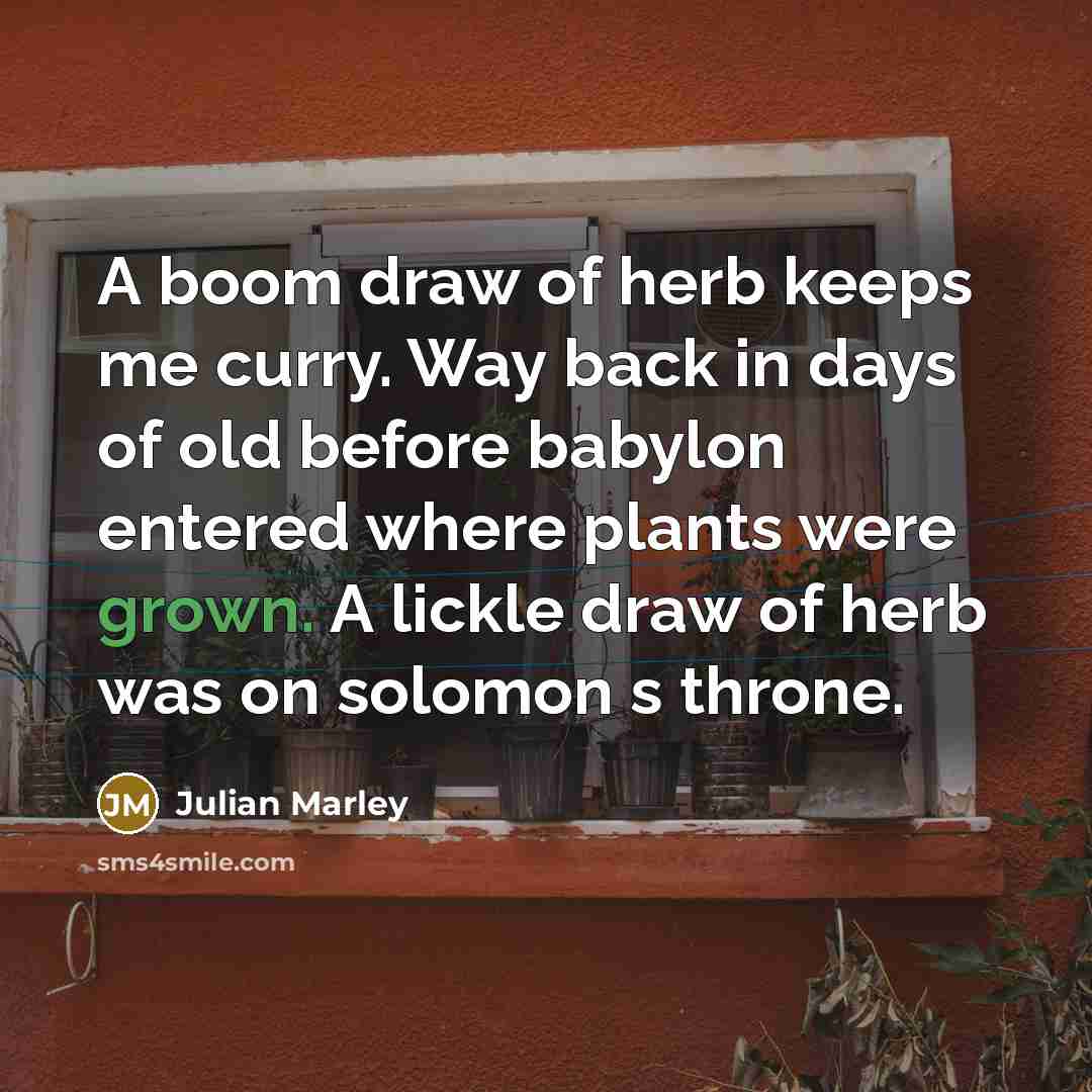 “A boom draw of herb keeps me curry. Way back in days of old before babylon entered where plants were grown. A lickle draw of herb was on solomon s throne.” quote by Julian Marley