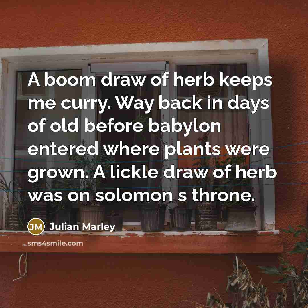 “A boom draw of herb keeps me curry. Way back…” quote by Julian Marley