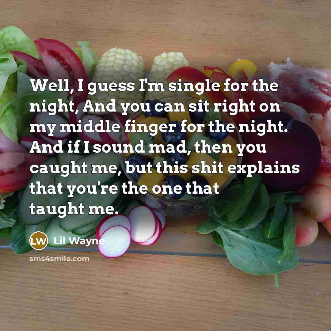 “Well, I guess I'm single for the night, And you can sit right on my middle finger for the night. And if I sound mad, then you caught me, but this shit explains that you're the one that taught me.” quote by Lil Wayne