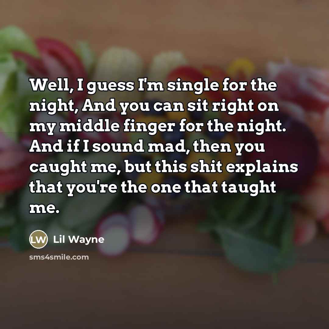 “Well, I guess I'm single for the night, And you…” quote by Lil Wayne