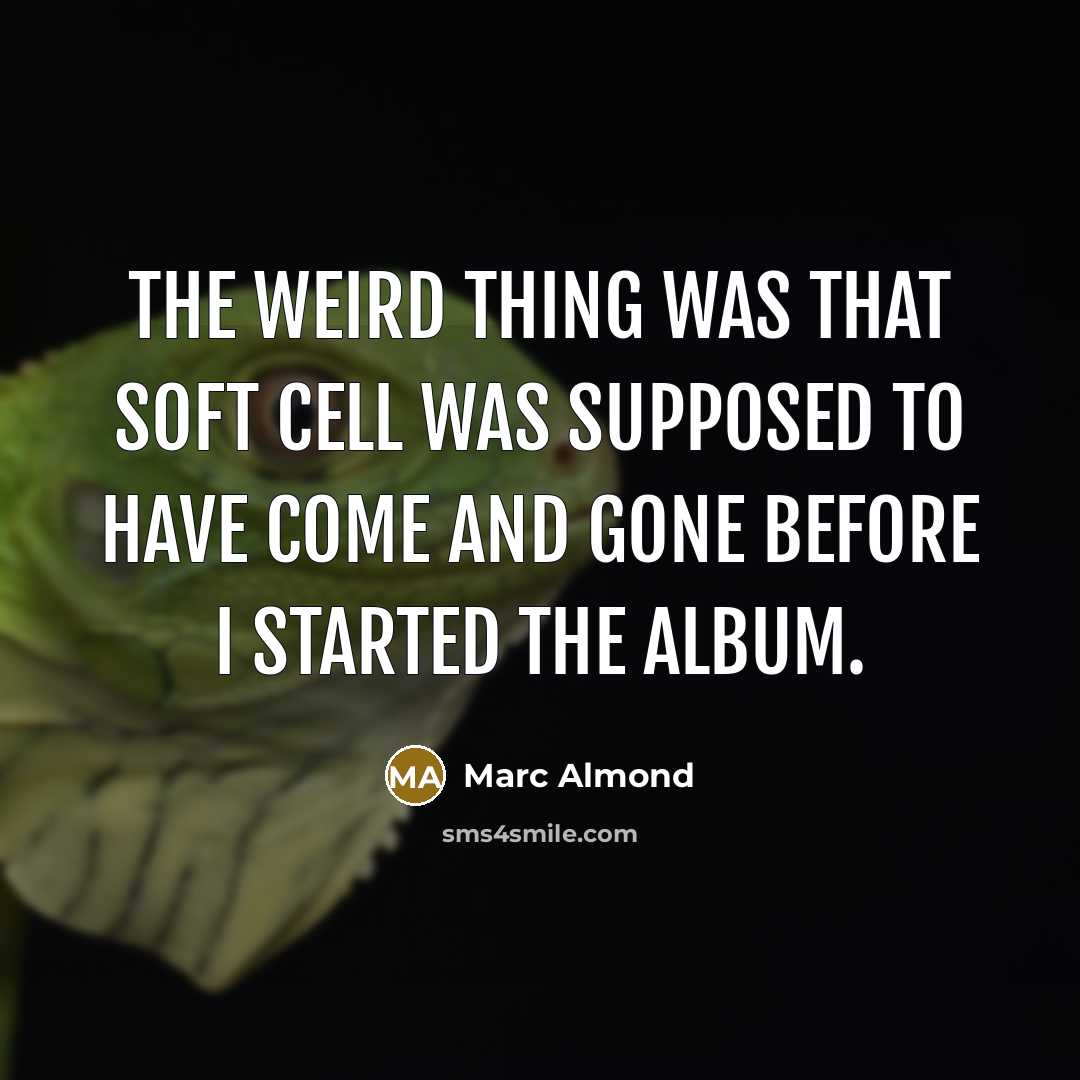 “The weird thing was that Soft Cell was supposed to…” quote by Marc Almond