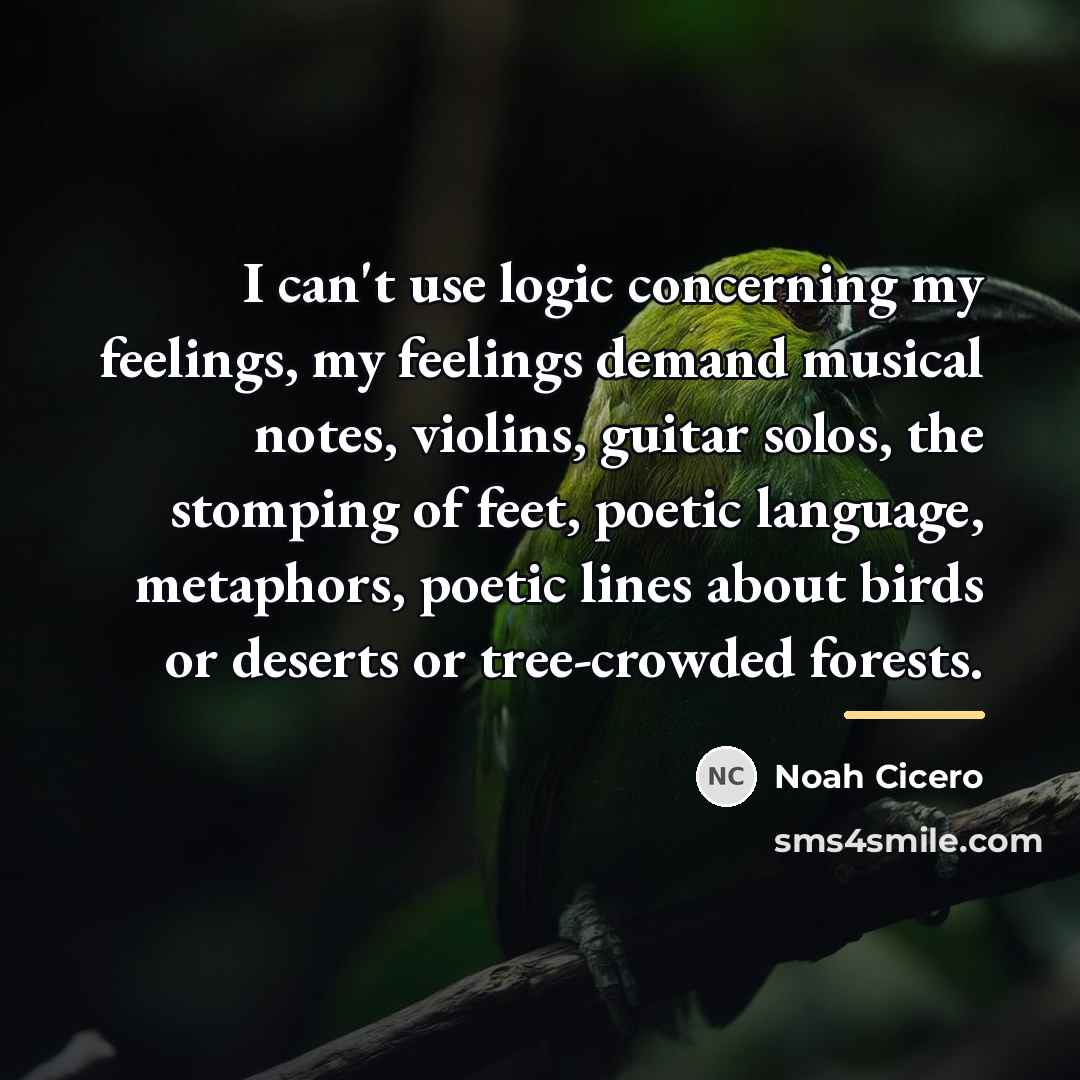 “I can't use logic concerning my feelings, my feelings demand…” quote by Noah Cicero