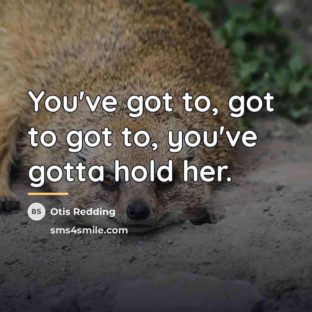 “You've got to, got to got to, you've gotta hold…” quote by Otis Redding