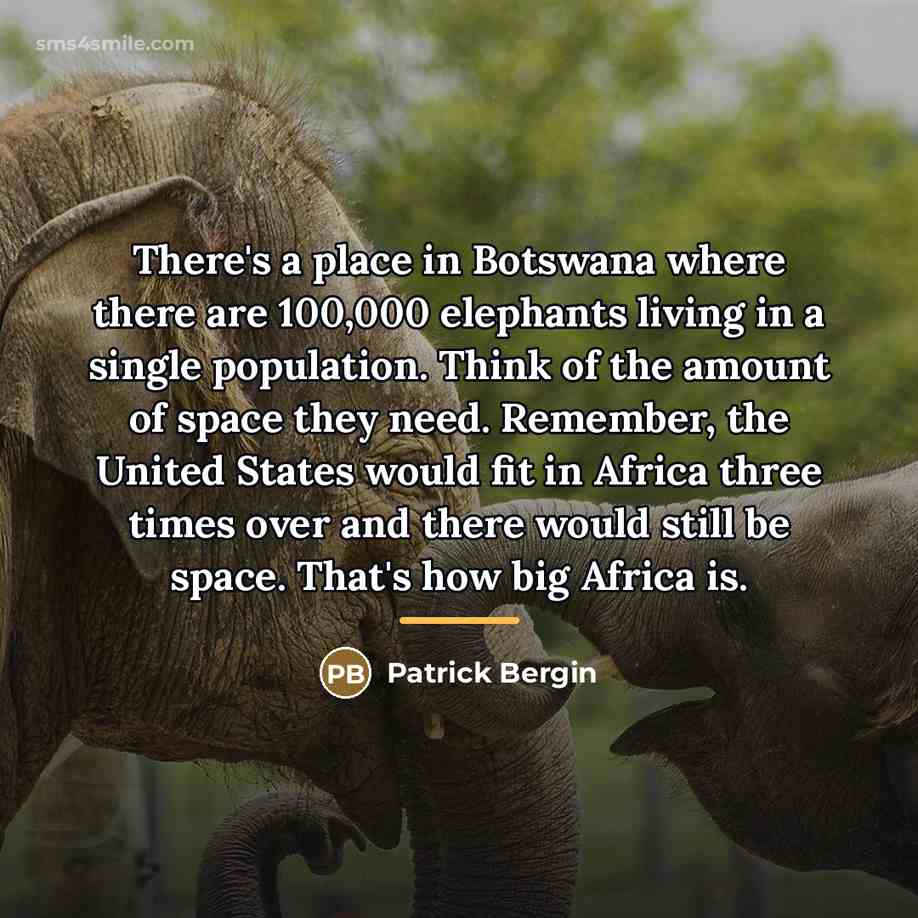 “There's a place in Botswana where there are 100,000 elephants…” quote by Patrick Bergin